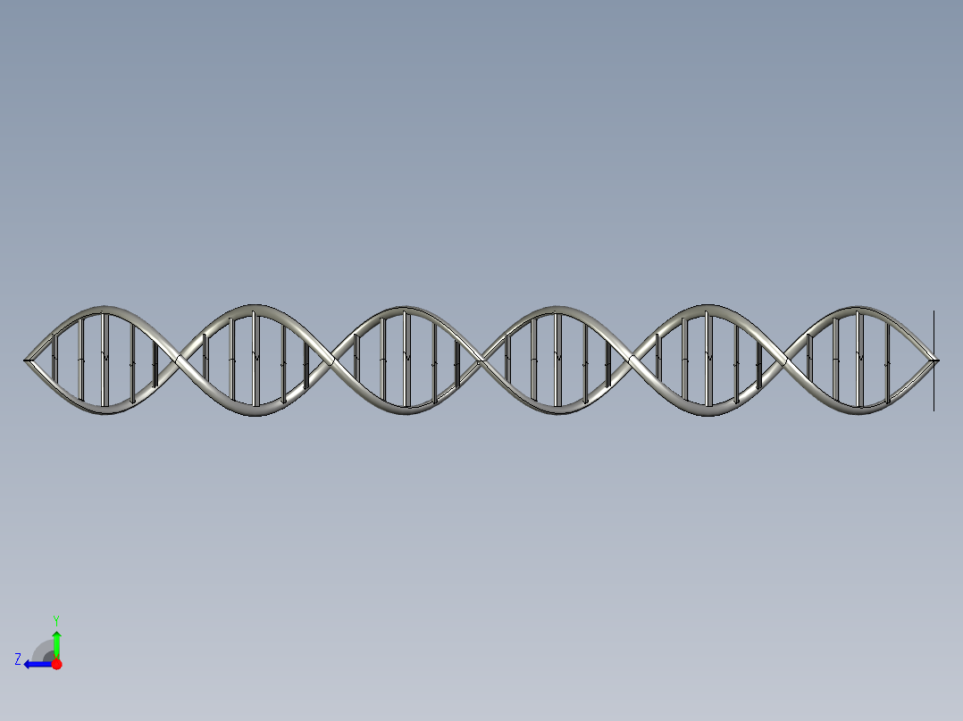 DNA基因染色体12右视图