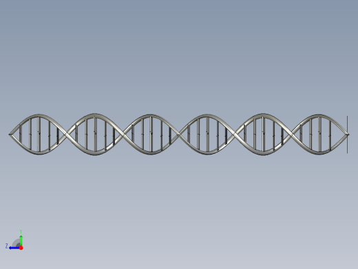 DNA基因染色体12右视缩略图