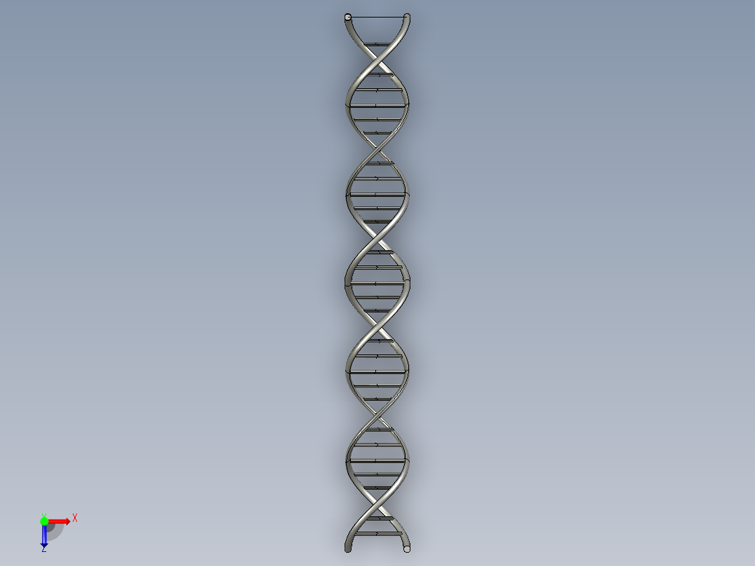 DNA基因染色体12俯视图