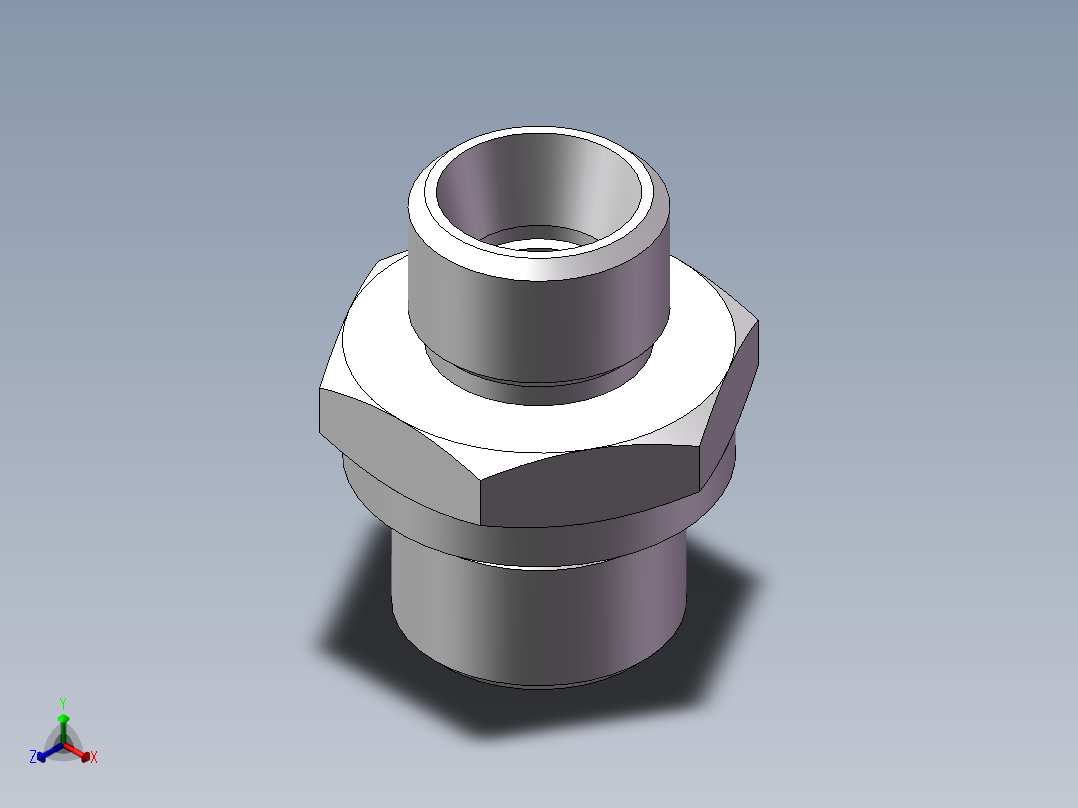 公制螺纹ED密封、1CM-16-18WD正等轴测图