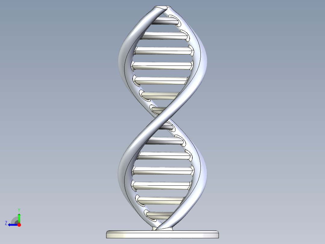 DNA基因染色体13右视图