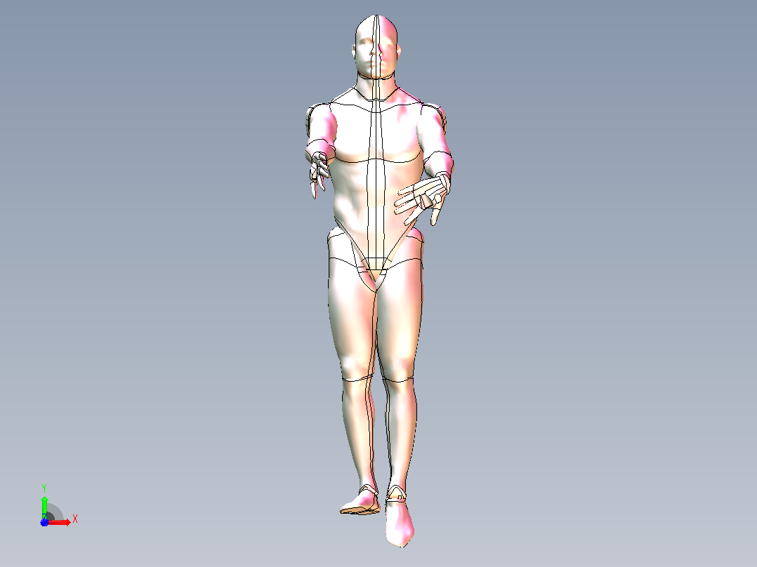 3D人体模型-可自由活动姿态自由调节主视图