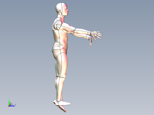 3D人体模型-可自由活动姿态自由调节左视缩略图