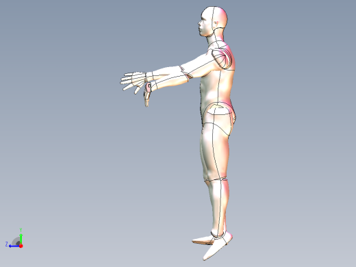 3D人体模型-可自由活动姿态自由调节右视缩略图