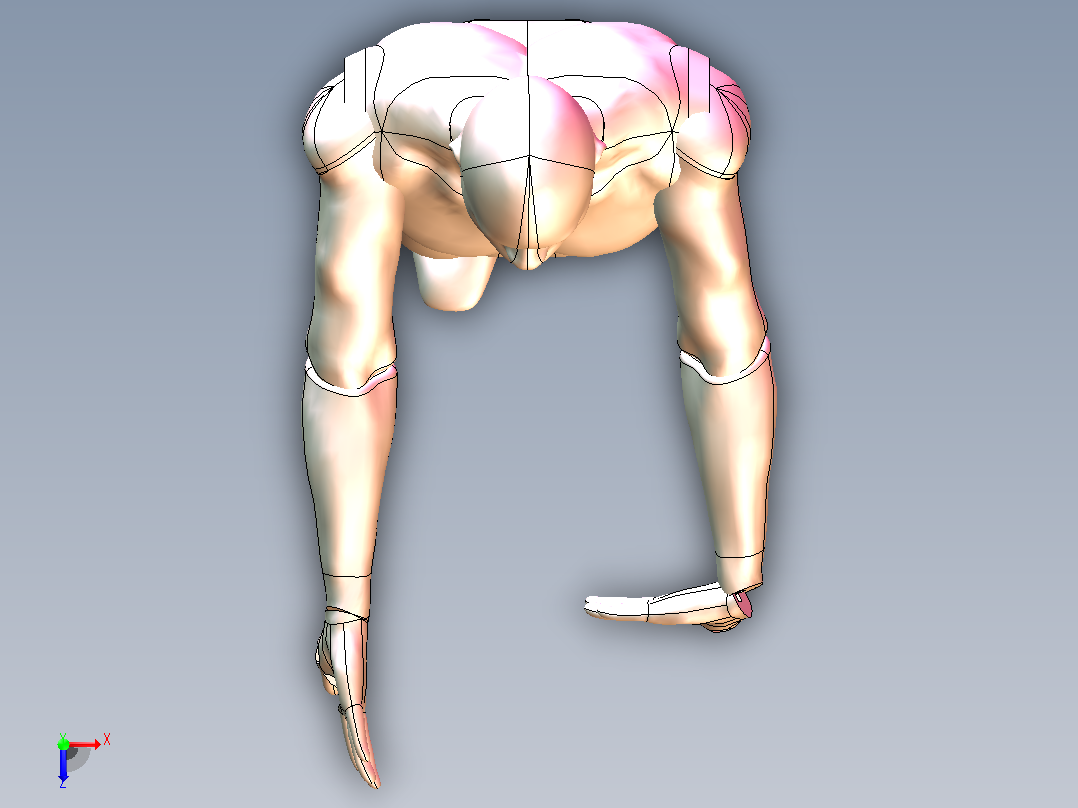 3D人体模型-可自由活动姿态自由调节俯视图