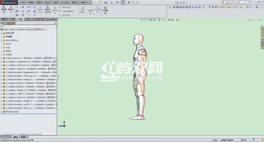 3D人体模型-可自由活动姿态自由调节缩略图