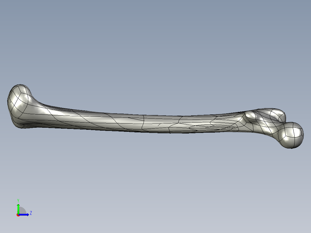 骨骼、人体骨骼(2)左视图
