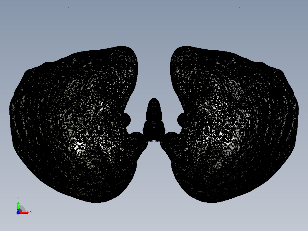 人类肺部的3D模型前视图