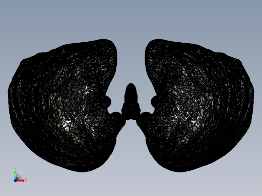 人类肺部的3D模型前视缩略图