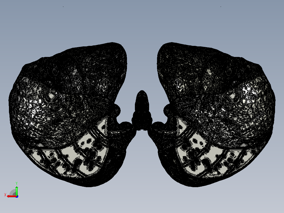 人类肺部的3D模型后视图