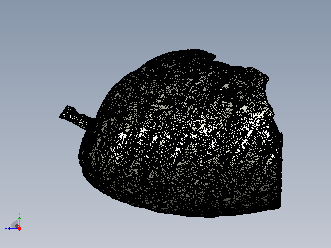 人类肺部的3D模型右视图