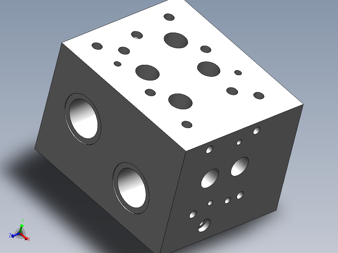 两个歧管阀块SW