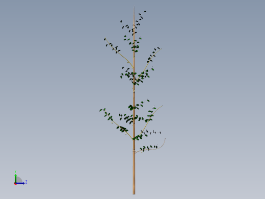 核桃树1左视缩略图