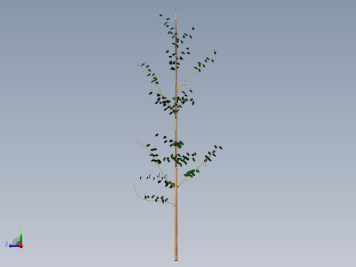 核桃树1右视缩略图