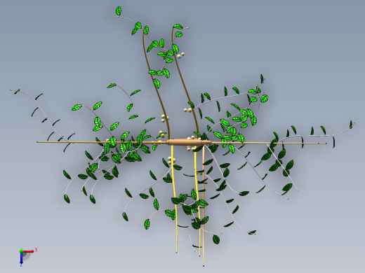 核桃树1俯视缩略图