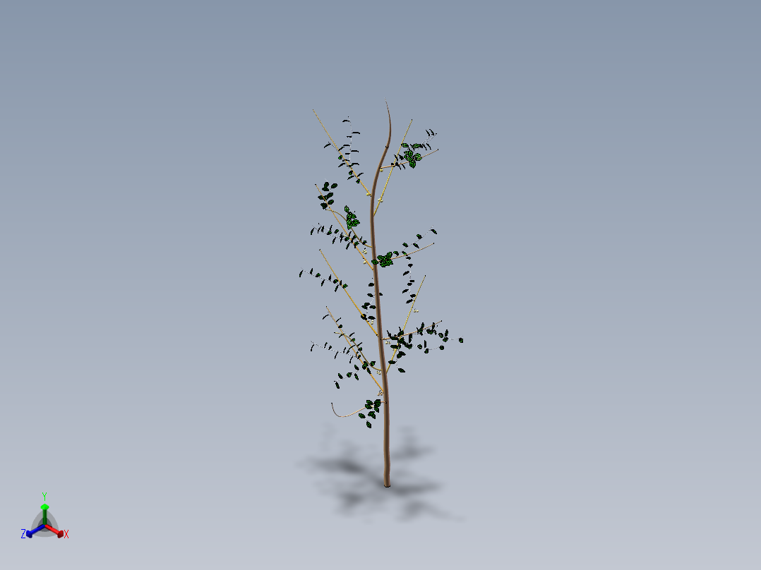 核桃树1正等轴测图