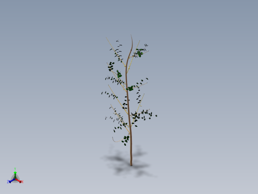 核桃树1正等轴测缩略图