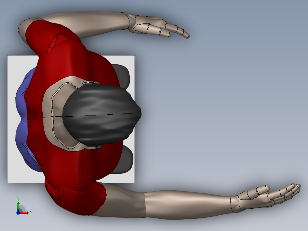 人体模型前视图