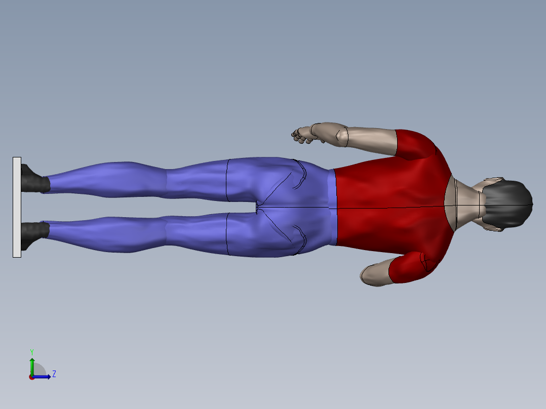 人体模型左视图