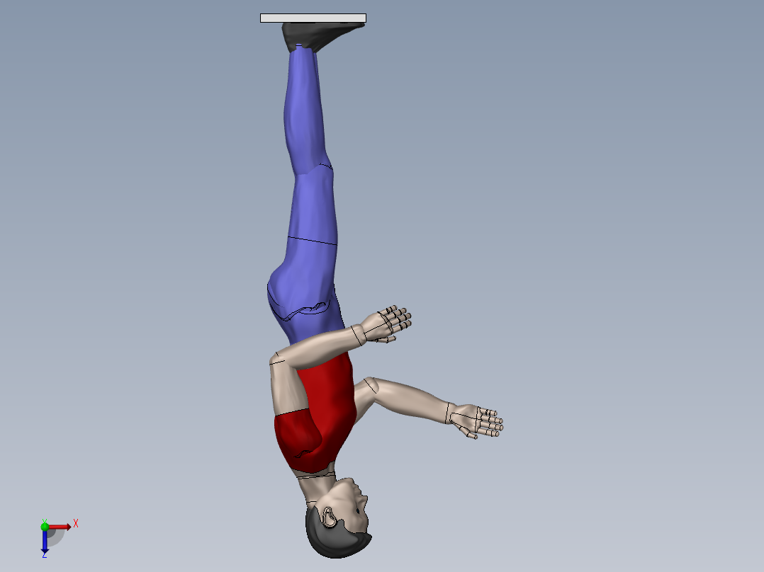 人体模型俯视图