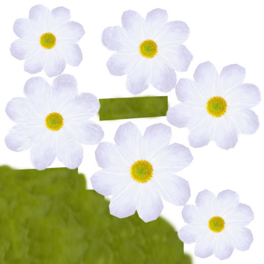 餐桌的插花缩略图