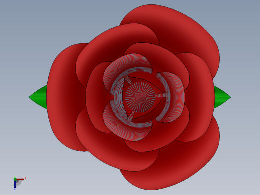 玫瑰花2俯视缩略图