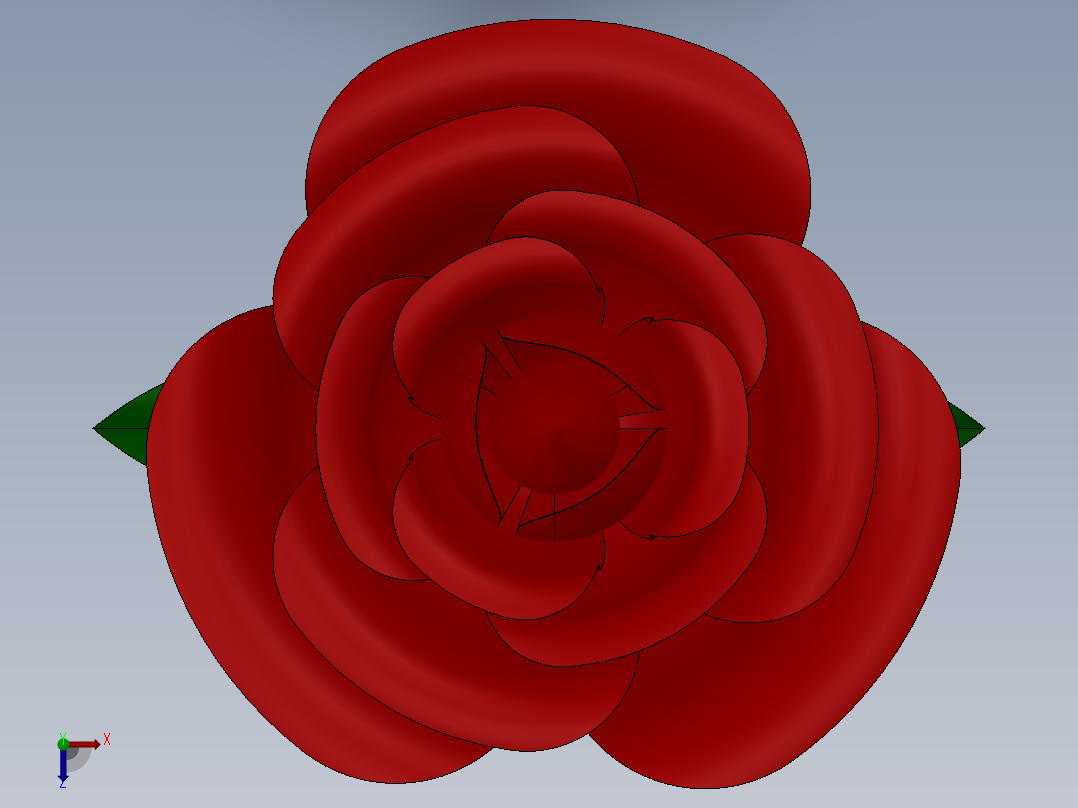 玫瑰花至亲人俯视图