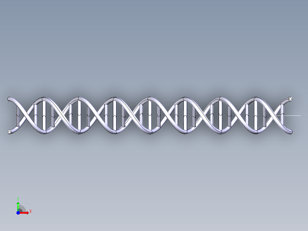 DNA基因染色体14前视图
