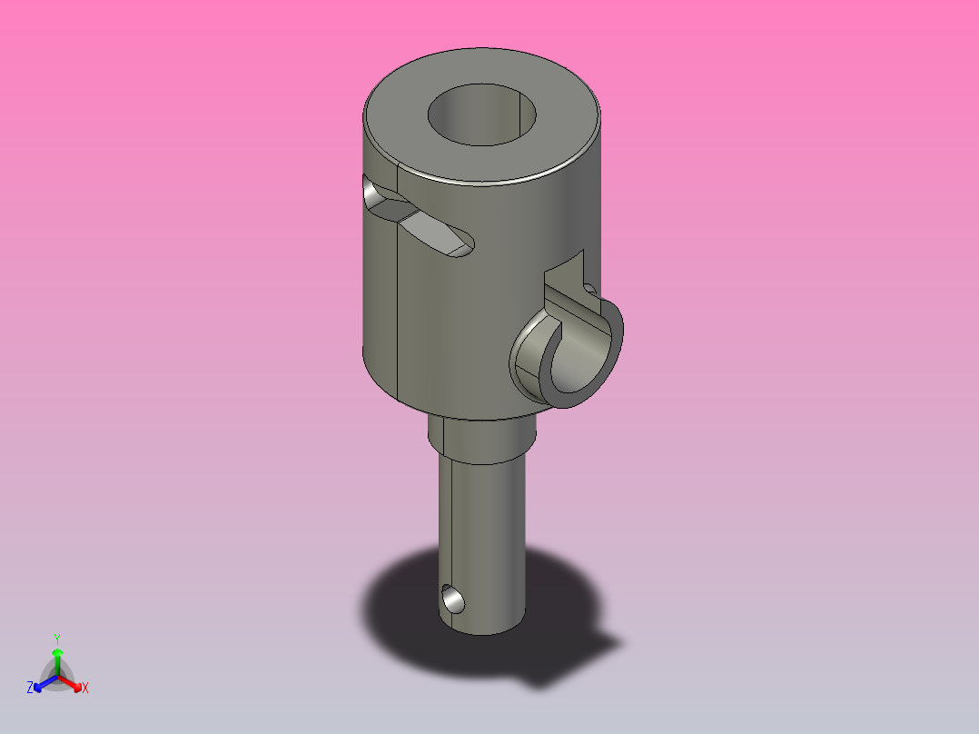 认证的实体助理（CSWA）主视图