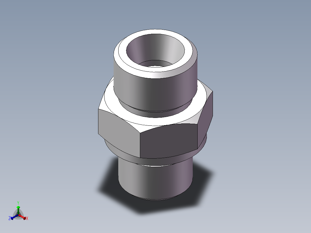 公制螺纹ED密封、1DM-18-16WD正等轴测图