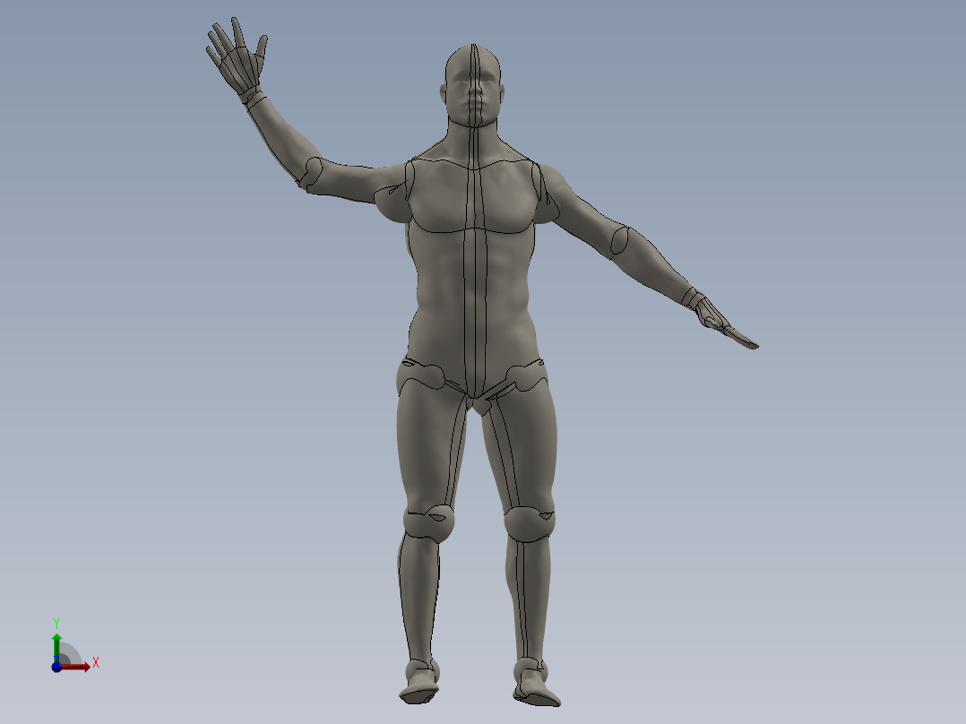 人体模型(129)前视图