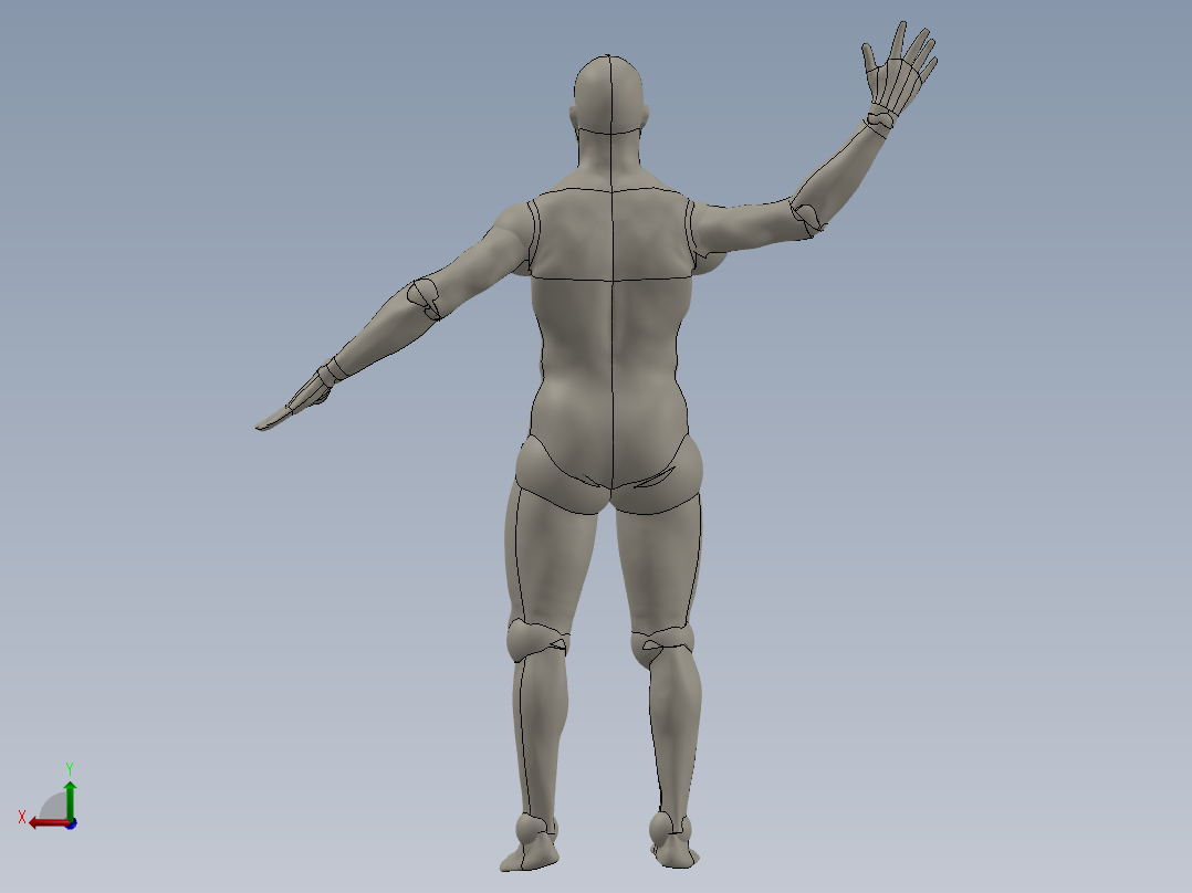 人体模型(129)后视图