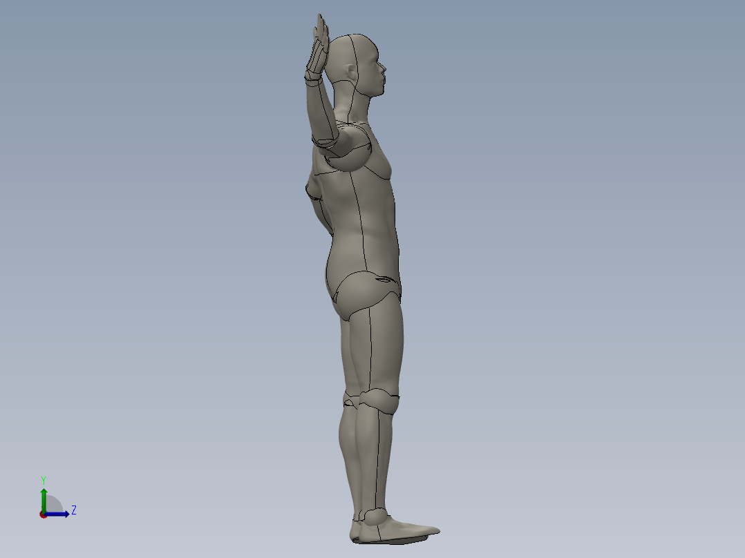 人体模型(129)左视图