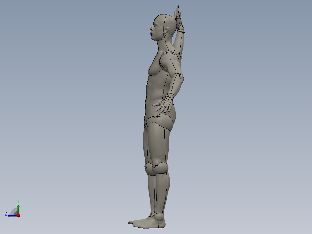 人体模型(129)右视图