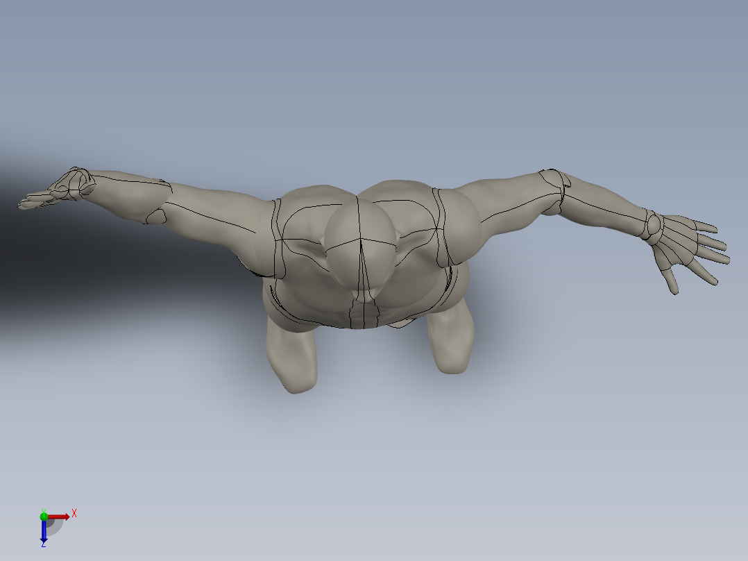 人体模型(129)俯视图