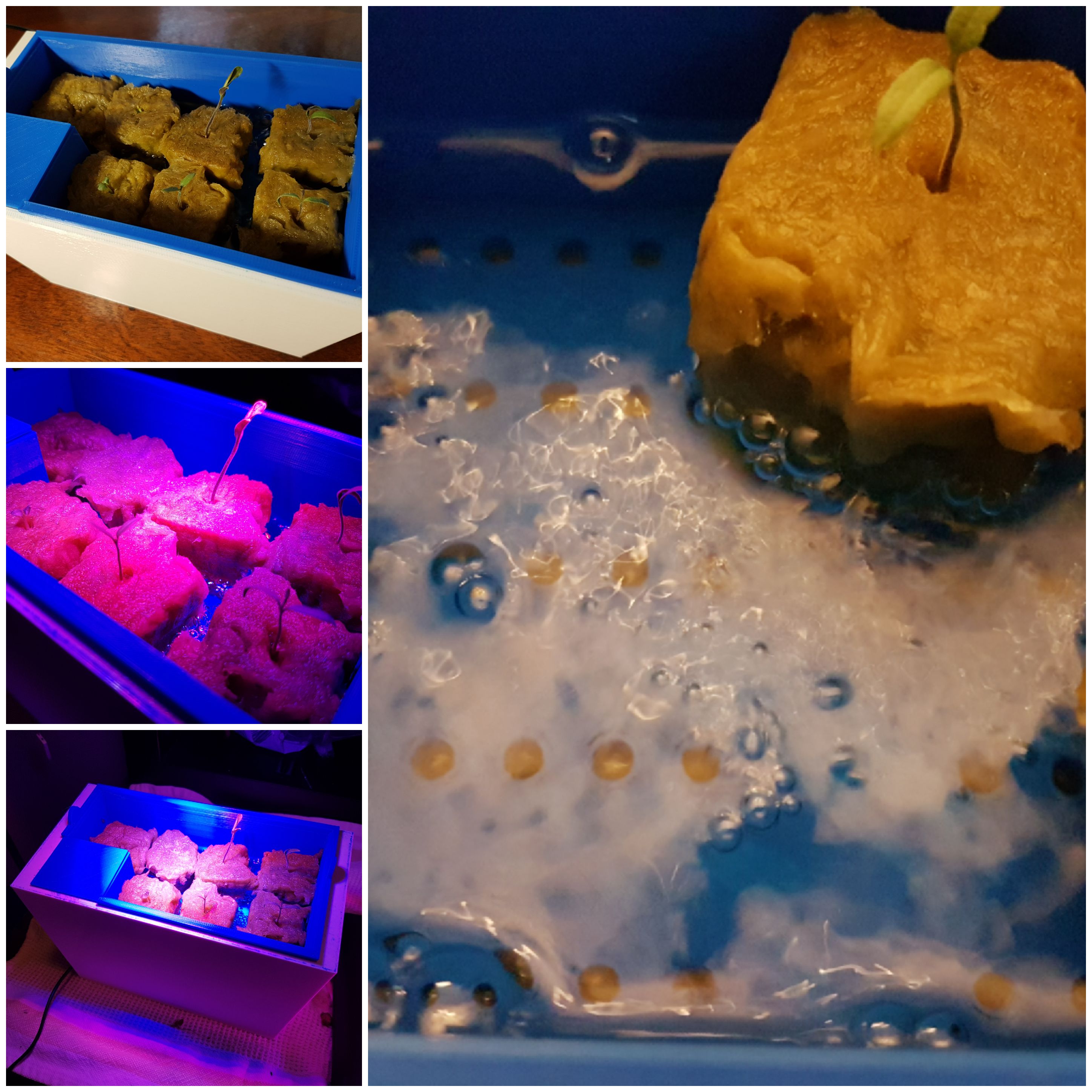 精致盆栽模型