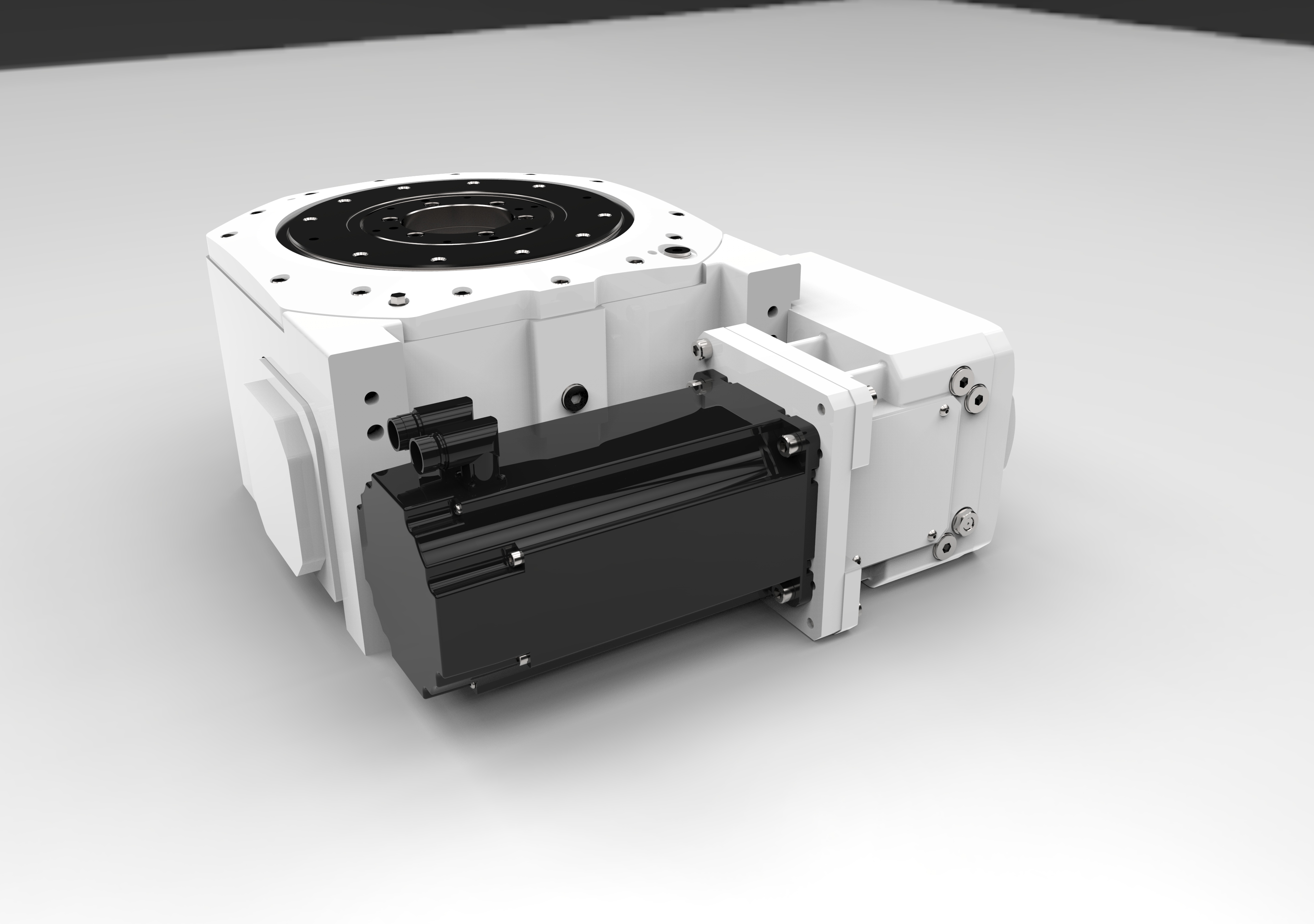 CR 300 重型旋转分度环