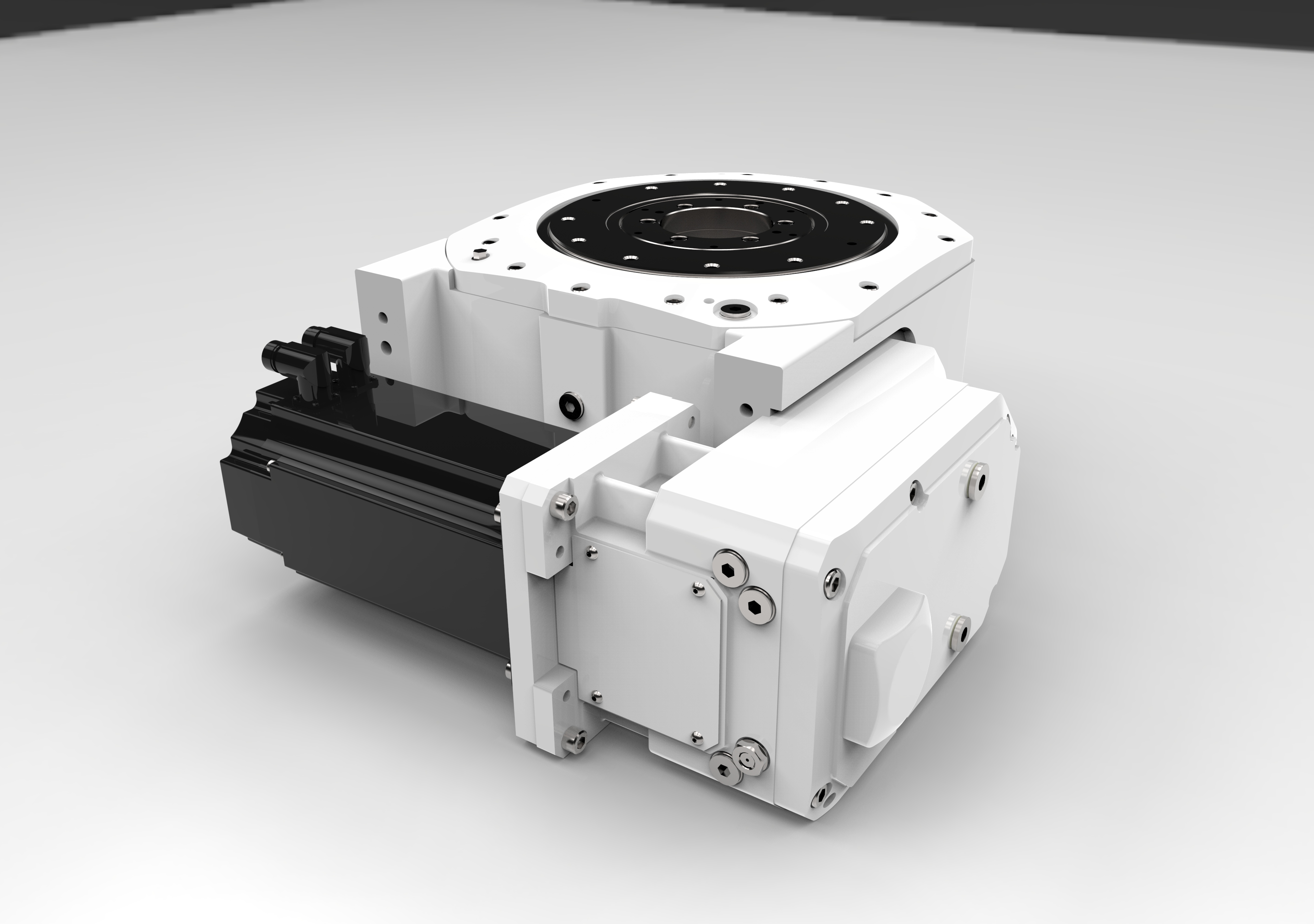 CR 300 重型旋转分度环