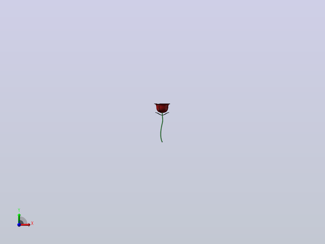 玫瑰花前视图