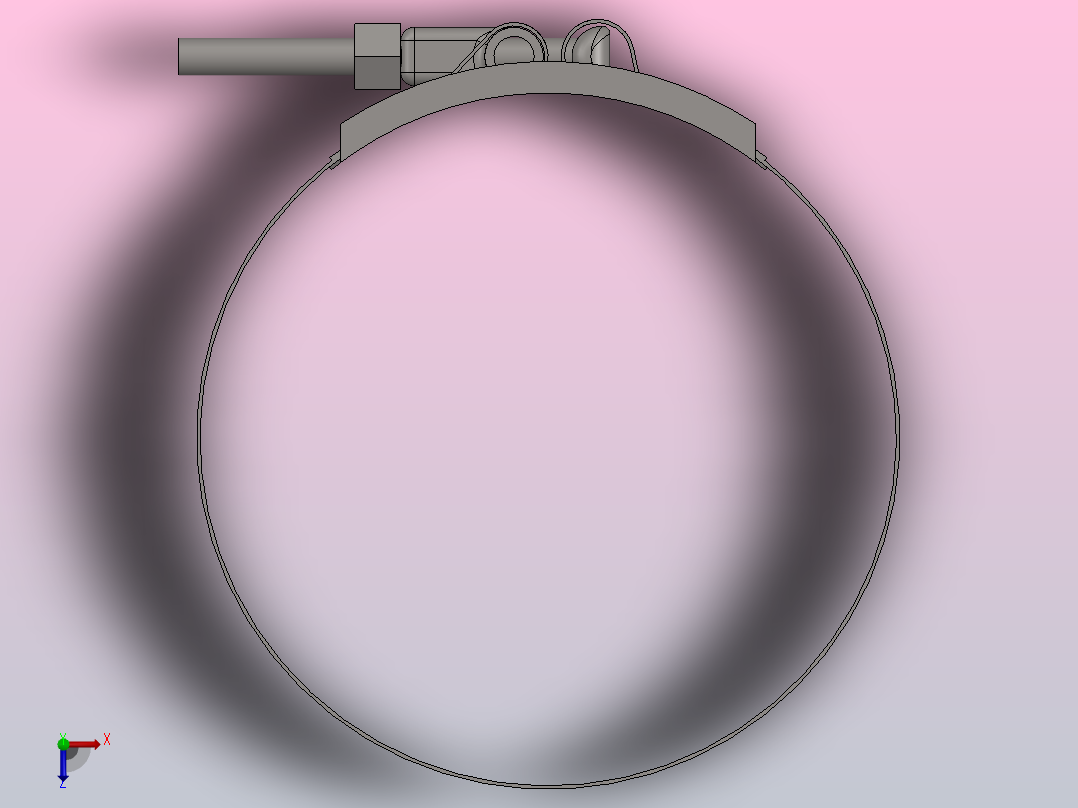 带螺栓的450号环形夹俯视图