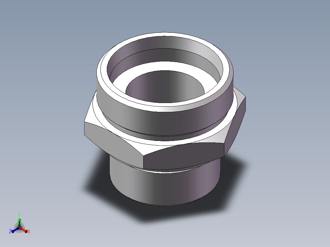 英制管螺纹ED密封、1CB-52-20WD非标正等轴测图