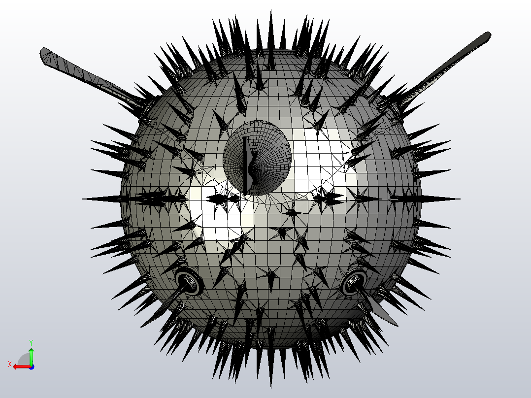 海洋生物鱼类Mister Puffy后视图