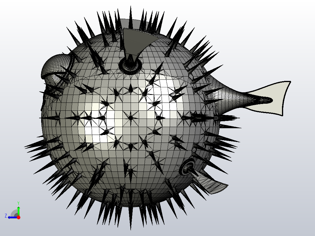 海洋生物鱼类Mister Puffy右视图