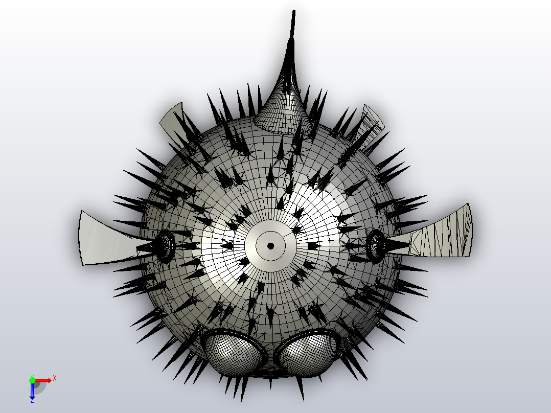 海洋生物鱼类Mister Puffy俯视图