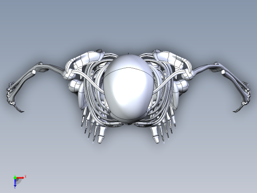 人类骨骼模型俯视缩略图