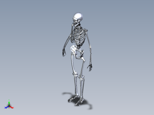 人类骨骼模型正等轴测缩略图