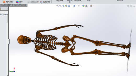 人类骨骼模型缩略图