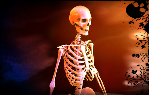 人类骨骼模型缩略图