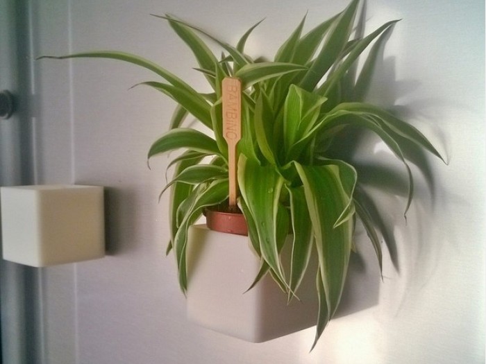 花盆系列1