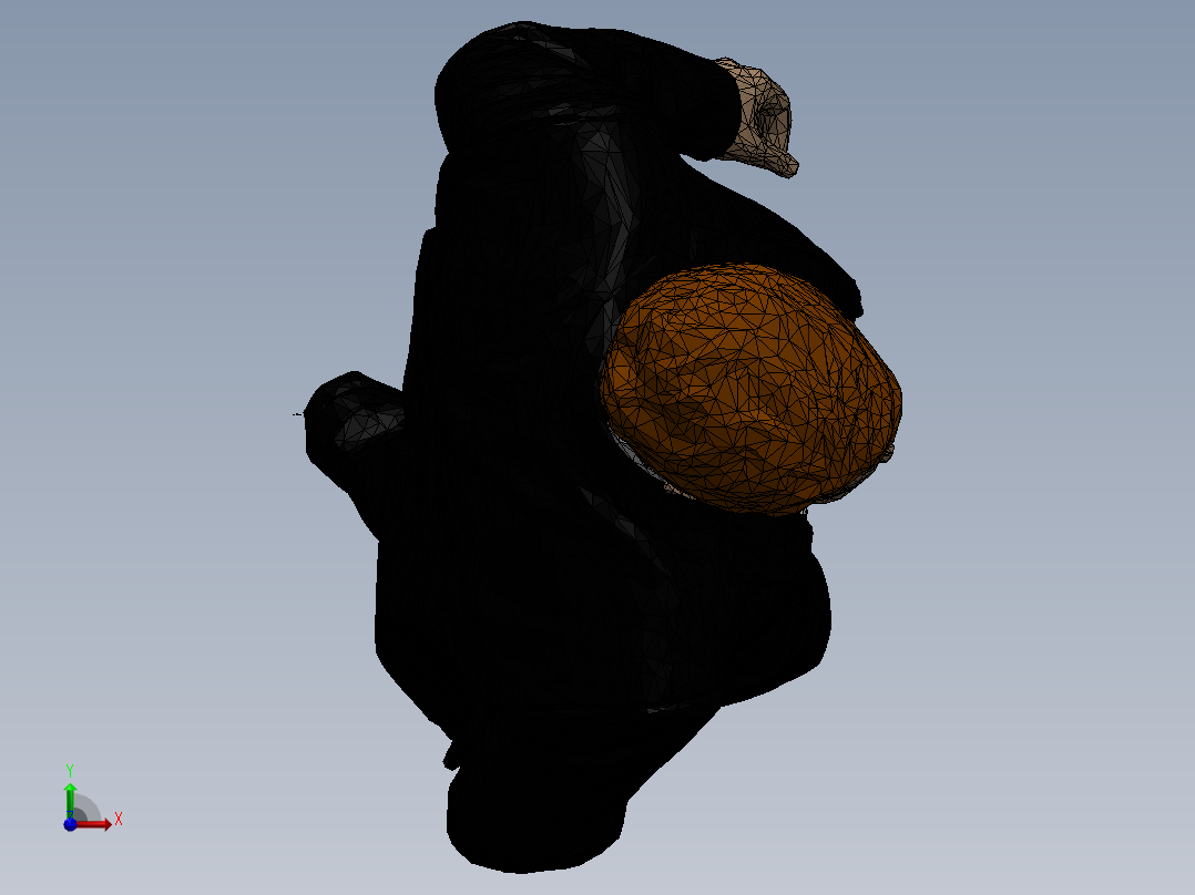 人体模型(27)前视图